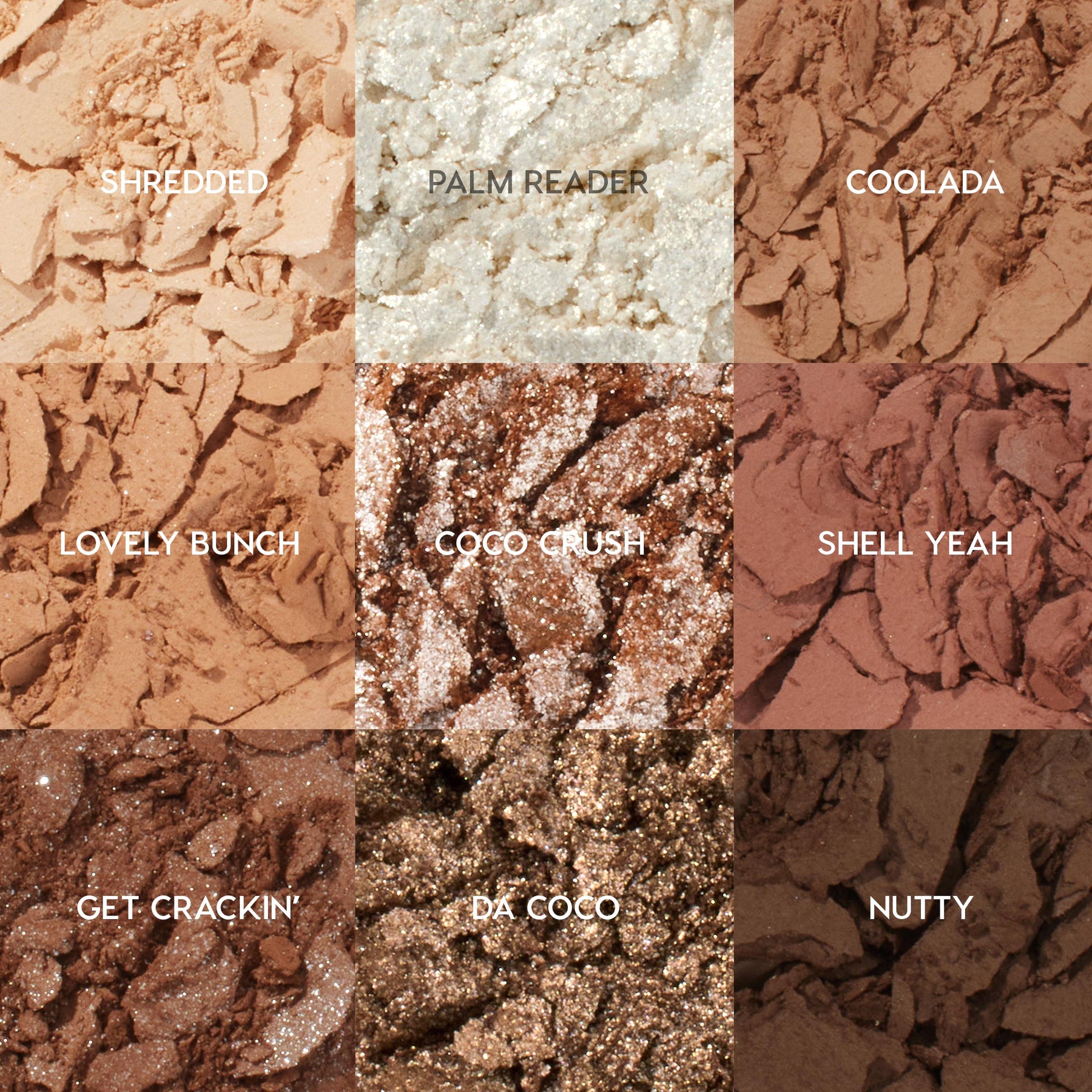 Coconut BB - Ready Routine