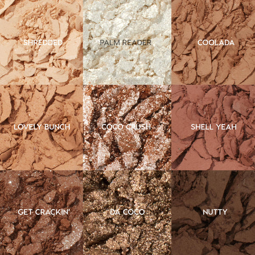 Coconut BB - Ready Routine