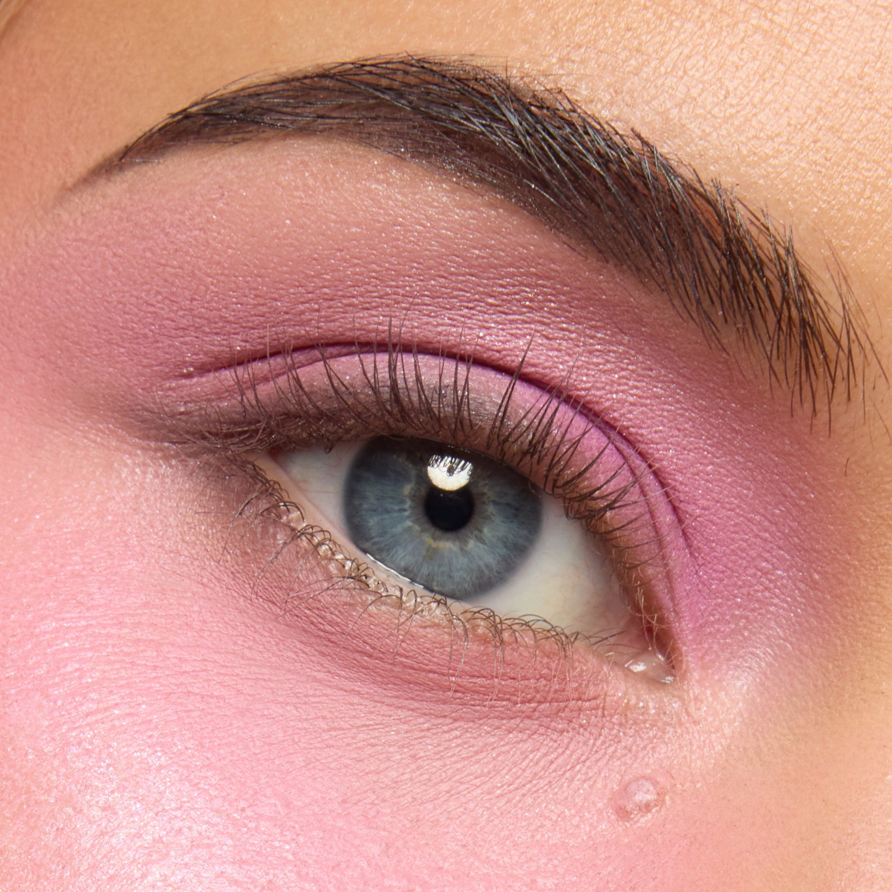 Pink Dreams Collection - Clean Bundle